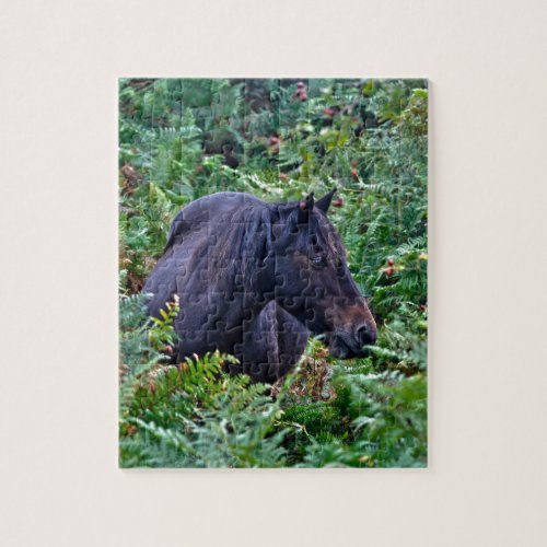 Rare Black New Forest Pony _ Wild Horse _ England Jigsaw Puzzle