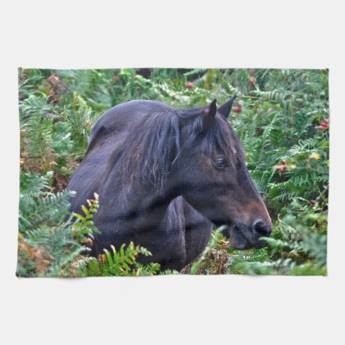 Rare Black New Forest Pony _ Wild Horse _ England Kitchen Towel