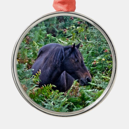 Rare Black New Forest Pony _ Wild Horse _ England Metal Ornament