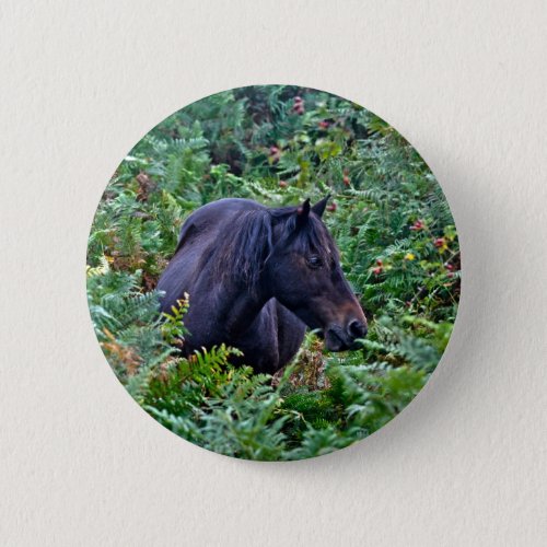 Rare Black New Forest Pony _ Wild Horse _ England Pinback Button