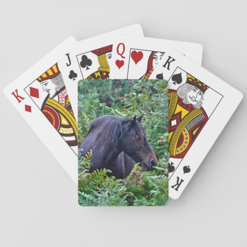 Rare Black New Forest Pony _ Wild Horse _ England Poker Cards