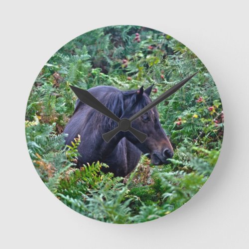 Rare Black New Forest Pony _ Wild Horse _ England Round Clock