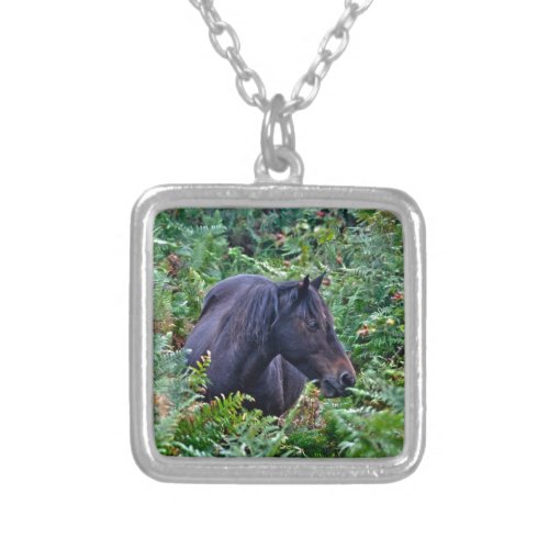 Rare Black New Forest Pony _ Wild Horse _ England Silver Plated Necklace