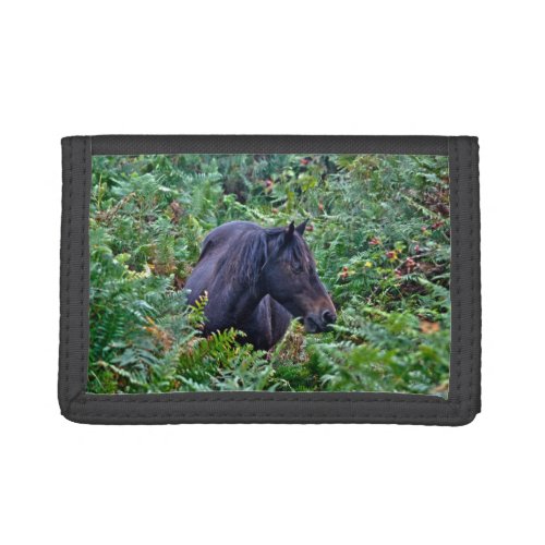 Rare Black New Forest Pony _ Wild Horse _ England Tri_fold Wallet