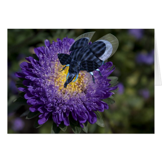 Rare Blue Elephant Bug Cards (Front Horizontal)