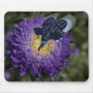 Rare Blue Elephant Bug Mouse Pad