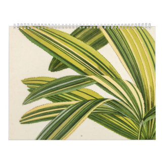 Rare Botanical Vintage Leaf Illustration Calendar
