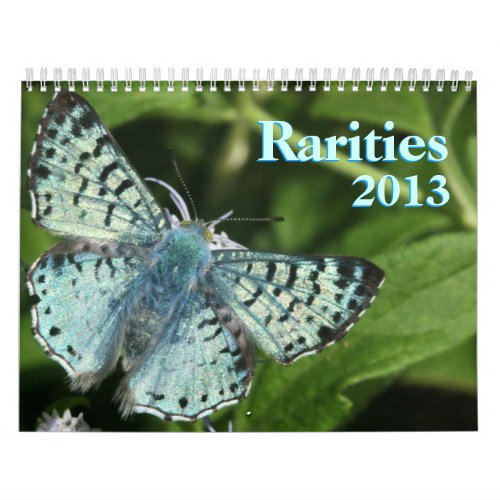 Rare Butterflies 2013 Calendar
