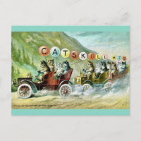 Rare Catskill Mountain Cats
