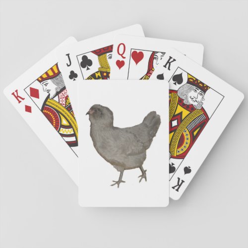 Rare Chicken Breed Lavender Ameraucana Blue Hens Playing Cards