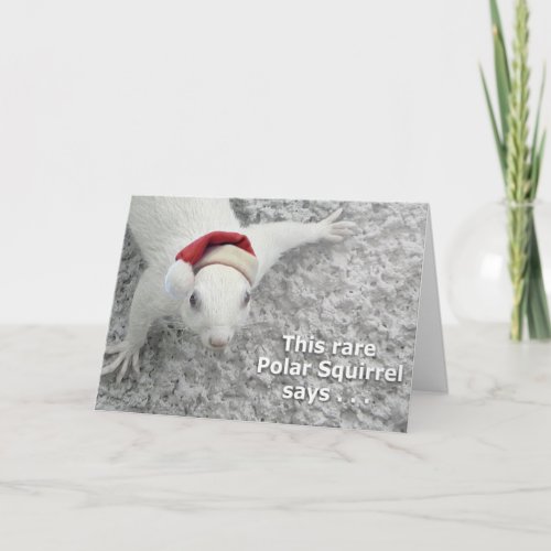 Rare Christmas Squirrel Holiday Card