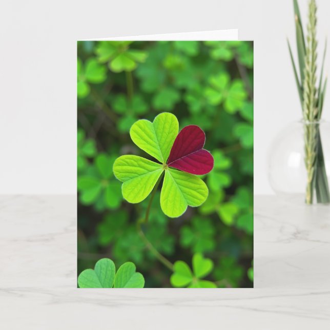 Rare Clover Beauty Find Card (Front)