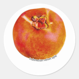 Rare Exotic Bisbul Velvet Apple - Indonesian Trop Classic Round Sticker