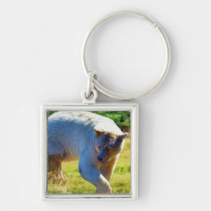Rare Kermode Bear (Spirit Bear) Wildlife Photo Keychain