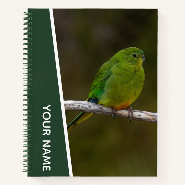 Rare Orange-bellied Parrot Bird Australia, Green Notebook (Front)