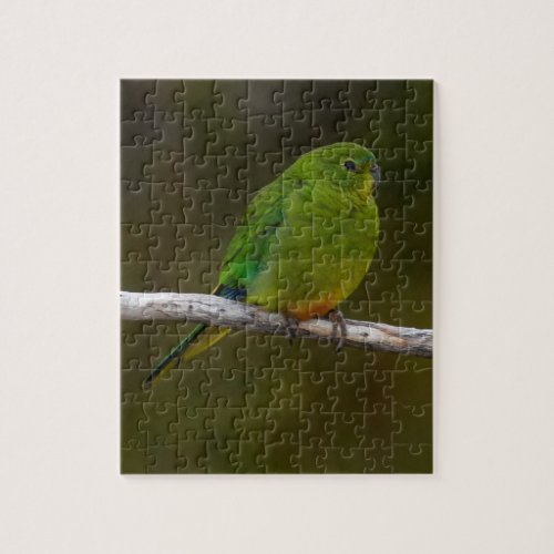 Rare Orange_bellied Parrot Bird Australia Jigsaw Puzzle
