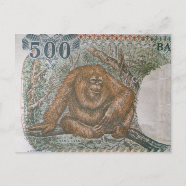 Rare Orangutan Limited Edition Postcard (Front)