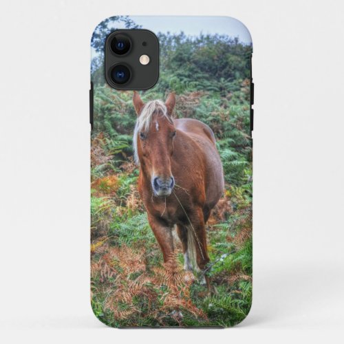 Rare Palomino New Forest Pony  Bracken _ England iPhone 11 Case