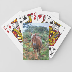 Rare Palomino New Forest Pony & Bracken - England Playing Cards