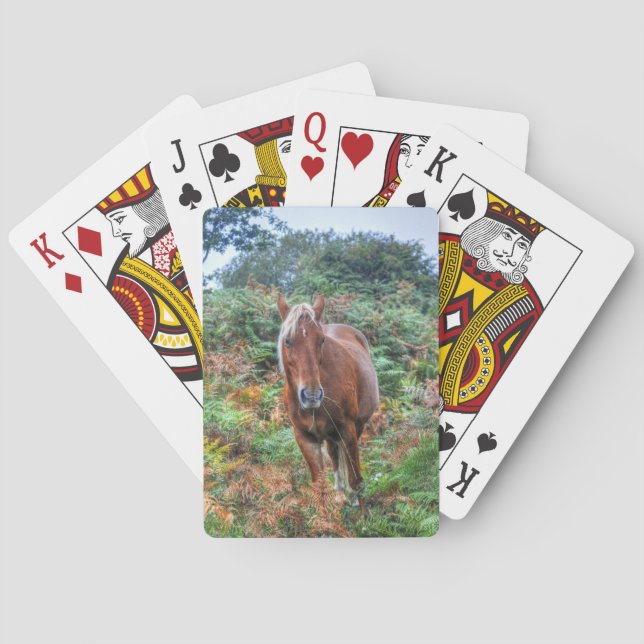 Rare Palomino New Forest Pony & Bracken - England Poker Cards (Back)