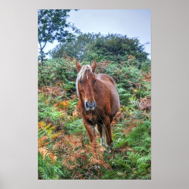 Rare Palomino New Forest Pony & Bracken - England Poster (Front)