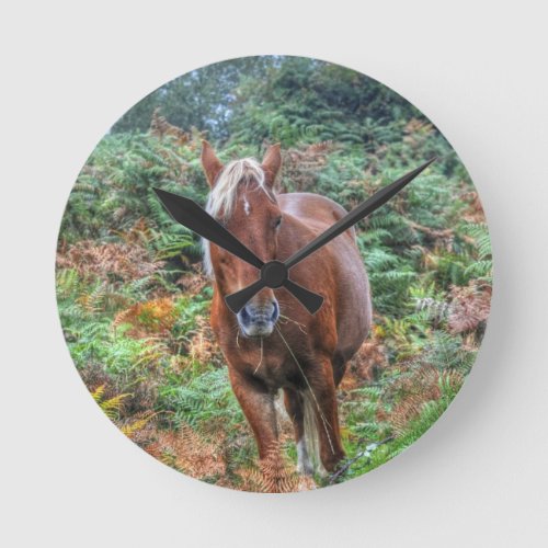 Rare Palomino New Forest Pony  Bracken _ England Round Clock