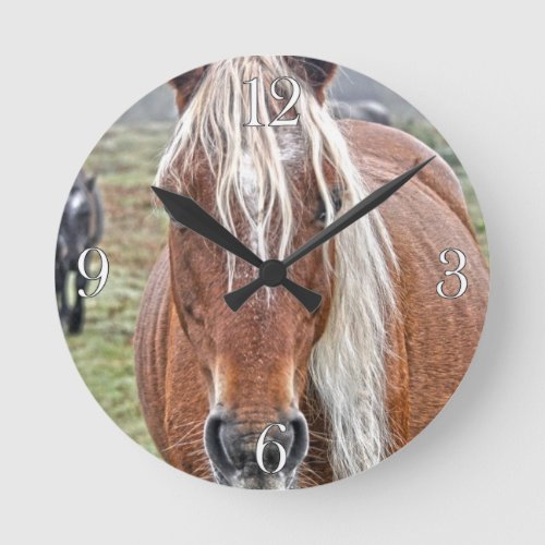 Rare Palomino New Forest Pony Wild Horse _ England Round Clock