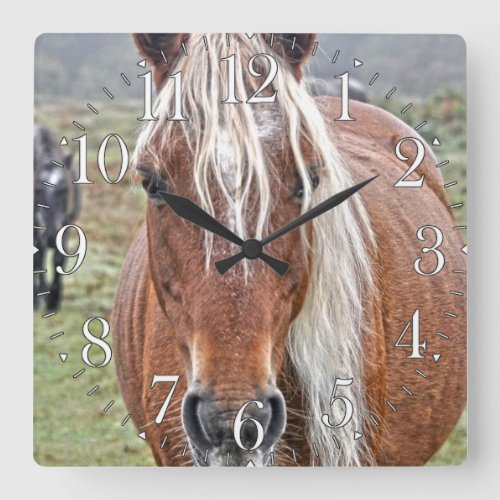 Rare Palomino New Forest Pony Wild Horse _ England Square Wall Clock