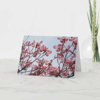 Rare Pink Dogwood Card by Rinchen365flower at Zazzle