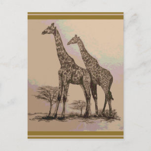Rare Retro African Giraffes in Sepia & Pastels Postcard