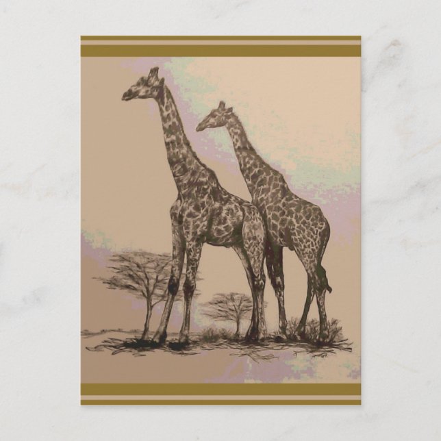 Rare Retro African Giraffes in Sepia & Pastels Postcard (Front)