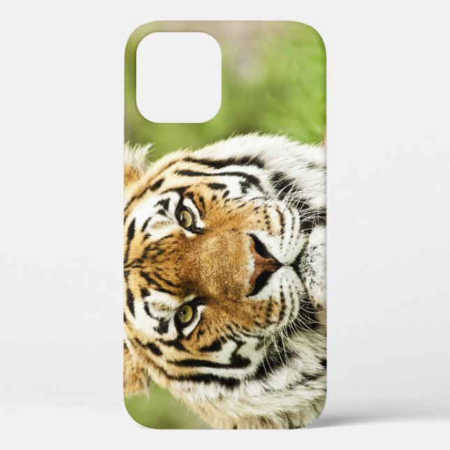 Rare Siberian Tiger: Endangered Resting Case-Mate iPhone Case (Back)