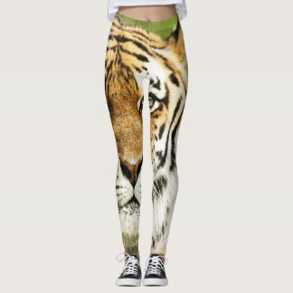 Rare Siberian Tiger: Endangered Resting Leggings