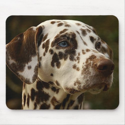 Rare Spotted Brown Dalmatian  Liver Dalmation Mouse Pad