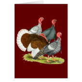 Rare Turkey Quartet (Front)