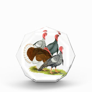 Rare Turkey Quartet Acrylic Award