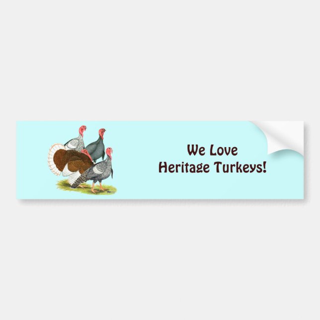 Rare Turkey Quartet Bumper Sticker (Front)