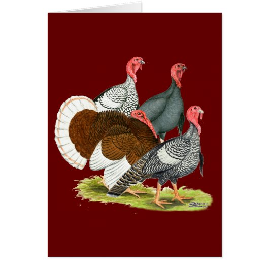 Rare Turkey Quartet Cards (Front)
