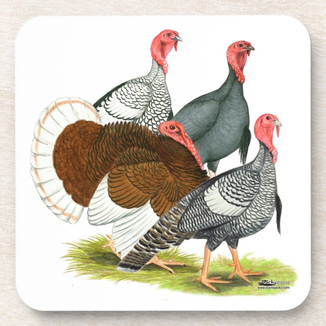 Rare Turkey Quartet Drink Coaster (Front)