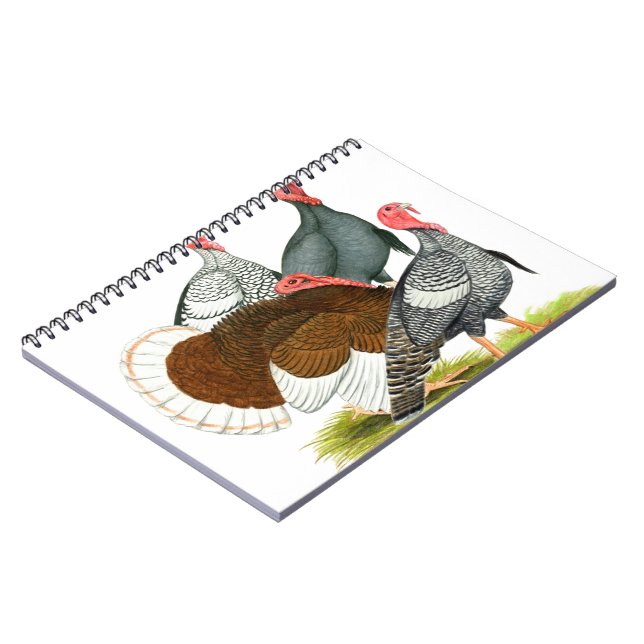 Rare Turkey Quartet Notebook (Left Side)
