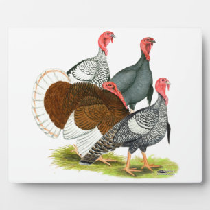 Rare Turkey Quartet Plaque