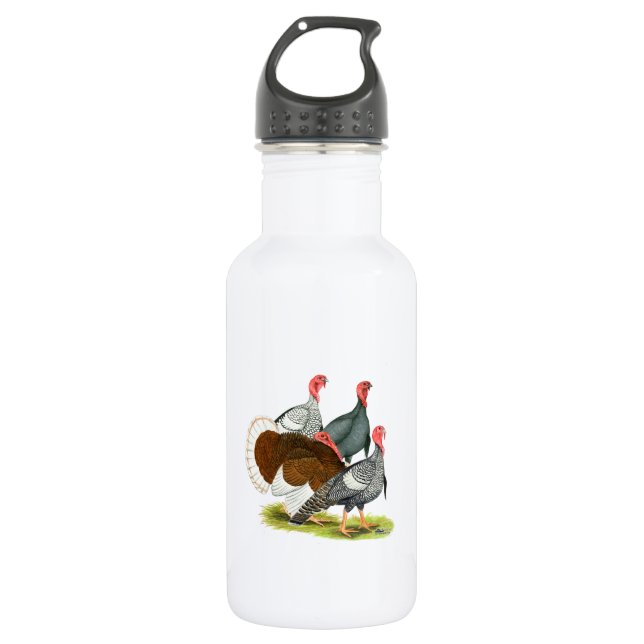 Rare Turkey Quartet Stainless Steel Water Bottle (Front)