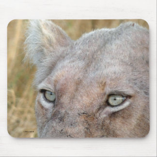 RARE WHITE LION MOUSE PAD