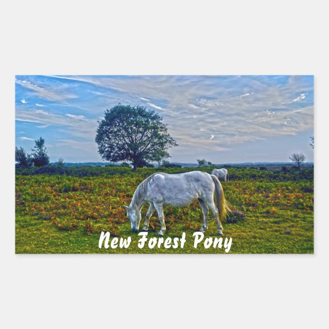 Rare White New Forest Ponies, Wild Horse - England Rectangular Sticker (Front)
