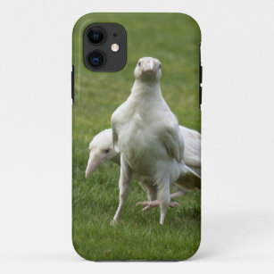 Rare White Raven Crow Wild Bird iPhone 11 Case
