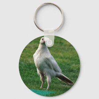 Rare White Raven Gifts Keychain