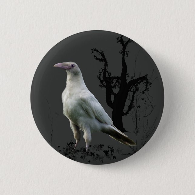 "Rare White Raven" Gifts Pinback Button (Front)