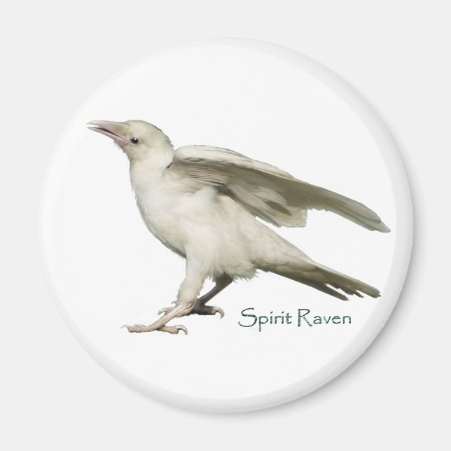 Rare White Raven Photo Spirit Raven II Series Magnet (Front)