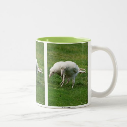 Rare White Raven Wildlife Photo Two_Tone Coffee Mug