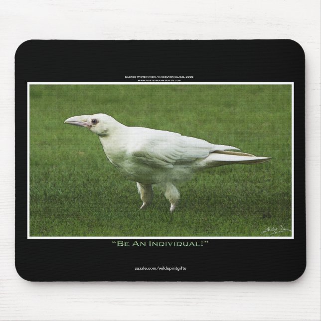 Rare White Raven Wildlife Photograph Mouse Pad (Front)